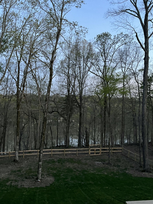 Listing Image 88
