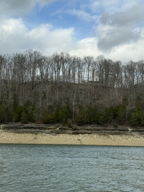 Listing Image 92