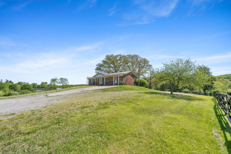 Listing Image 49