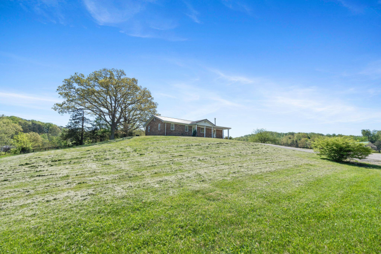 Listing Image 50