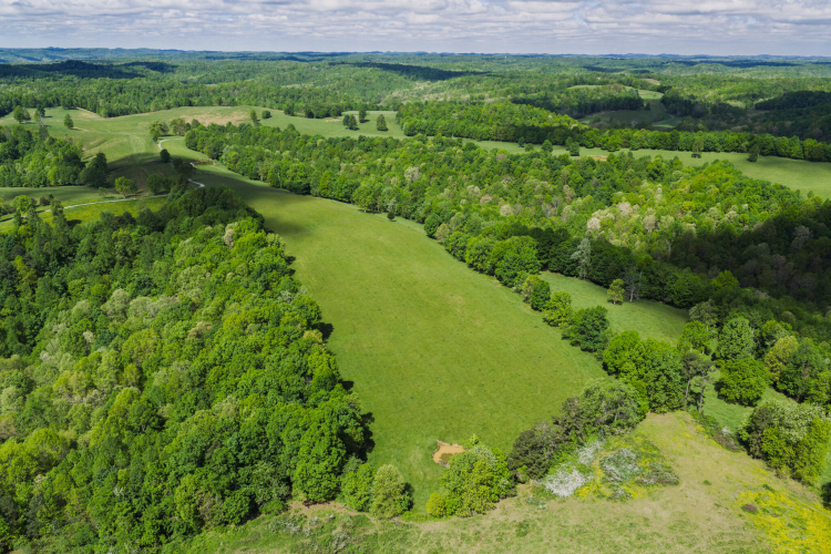 Listing Image 18