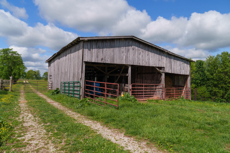 Listing Image 20
