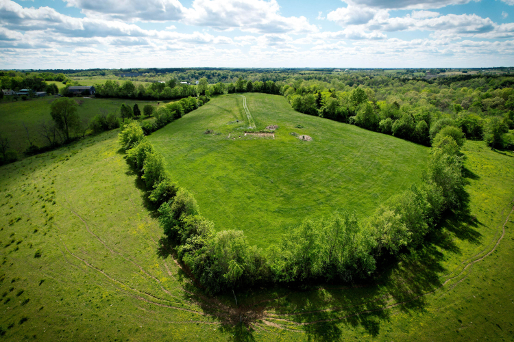 Listing Image 17