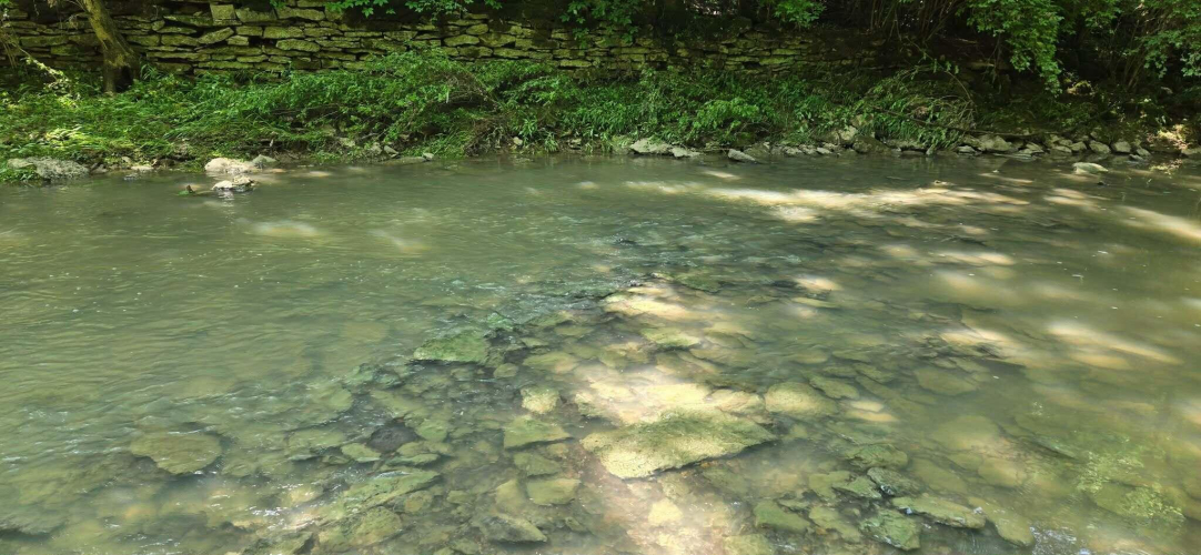 Listing Image 21