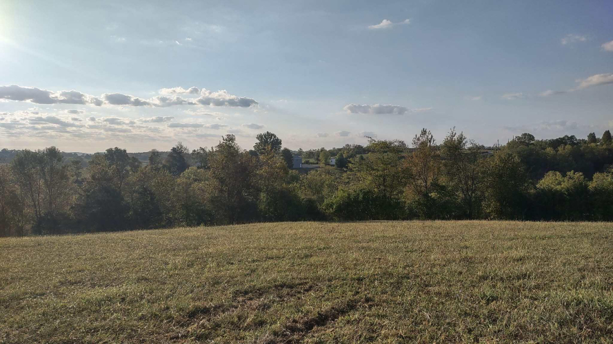 Listing Image 23
