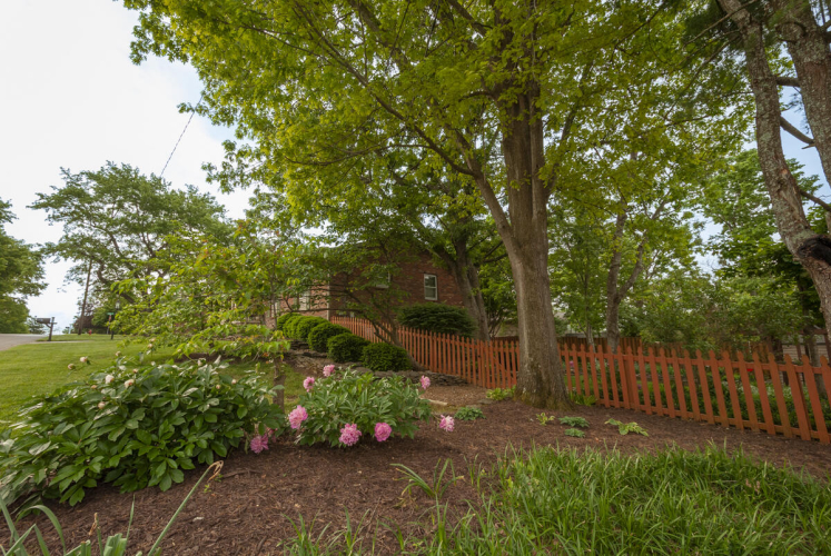 Listing Image 67