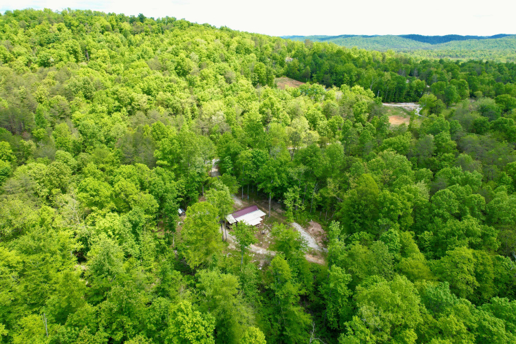 Listing Image 11