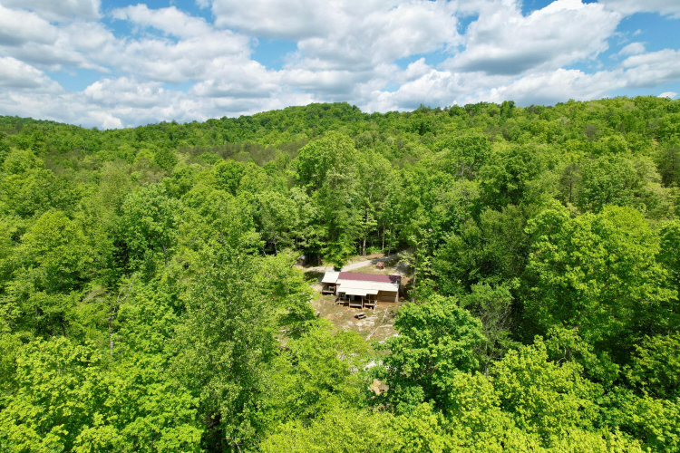 Listing Image 13