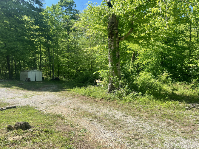 Listing Image 15