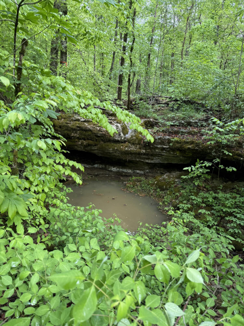 Listing Image 6