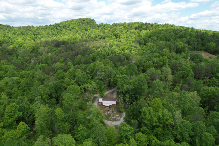 Listing Image 10