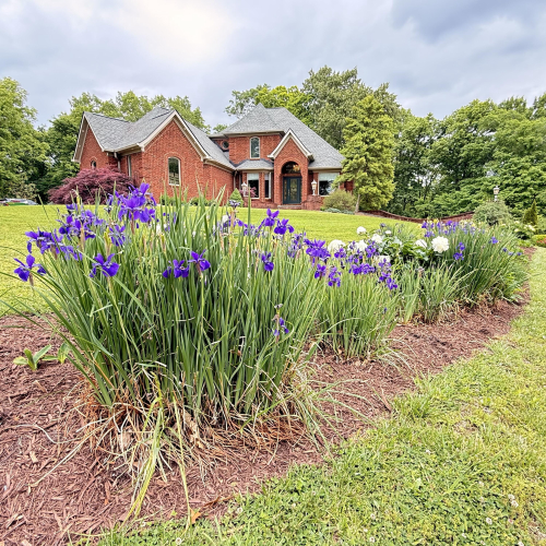 Listing Image 96