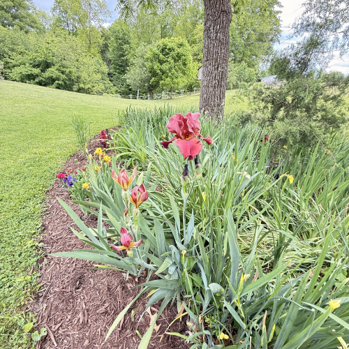 Listing Image 97