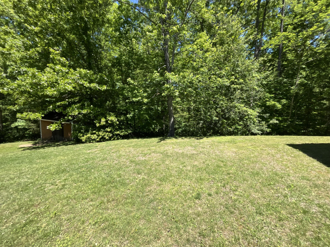 Listing Image 64