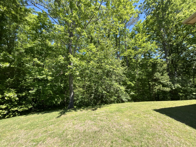 Listing Image 65