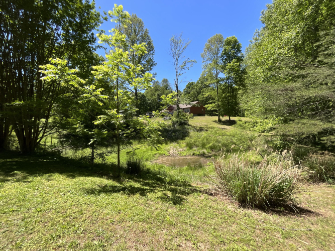 Listing Image 67