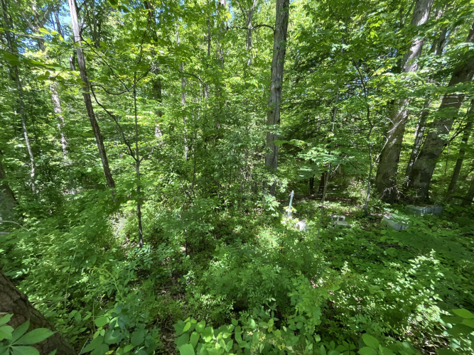 Listing Image 70