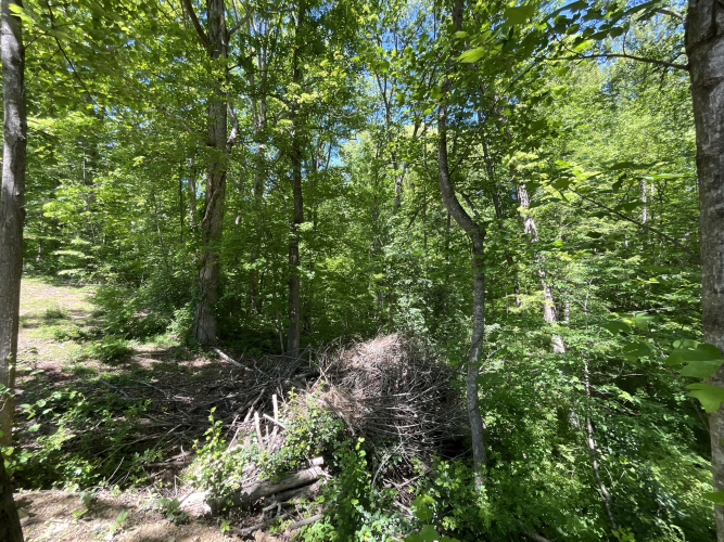 Listing Image 71