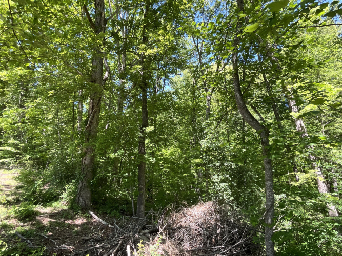 Listing Image 72