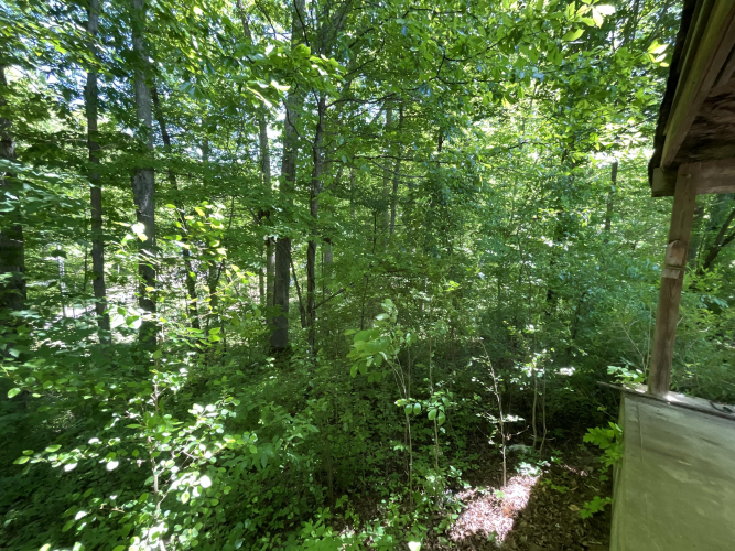 Listing Image 80