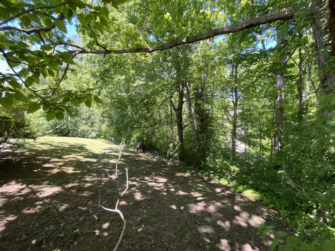 Listing Image 81