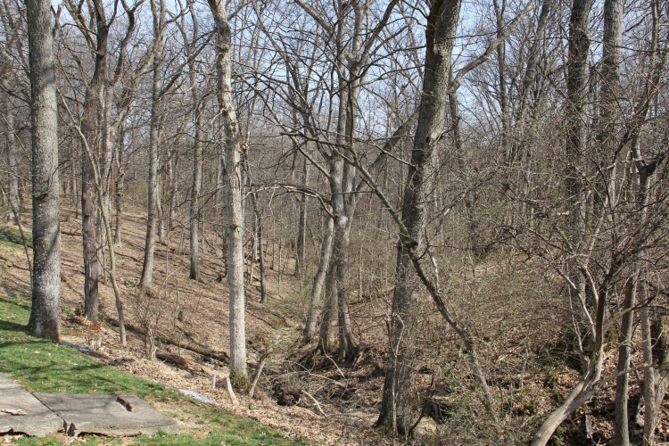 Listing Image 64