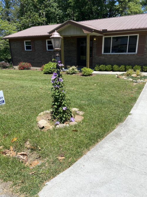 Listing Image 5