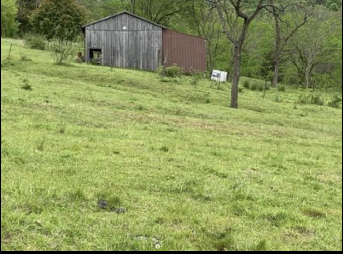 Listing Image 11