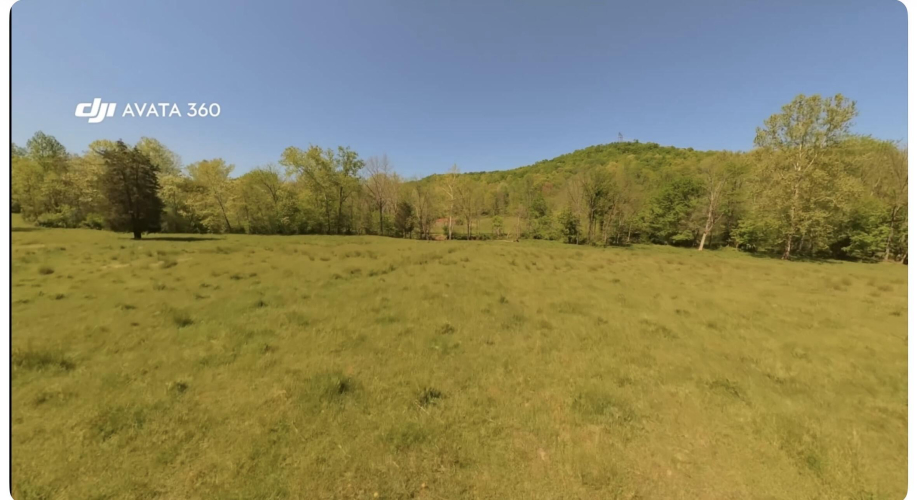Listing Image 44