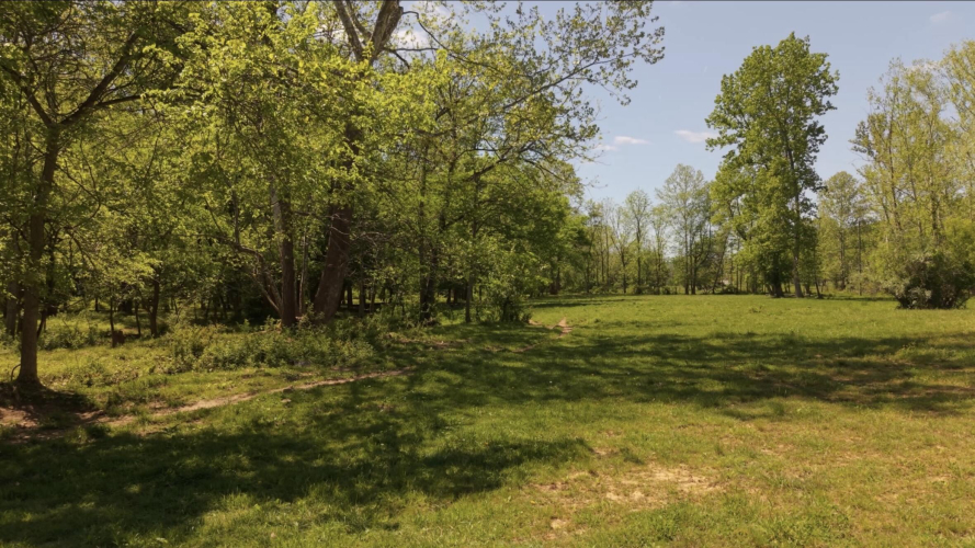 Listing Image 46