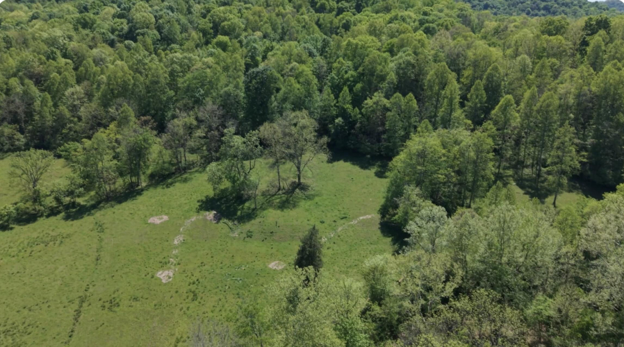 Listing Image 49