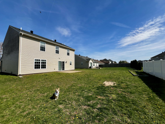Listing Image 25