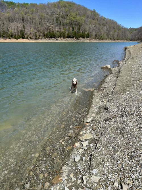 Listing Image 46