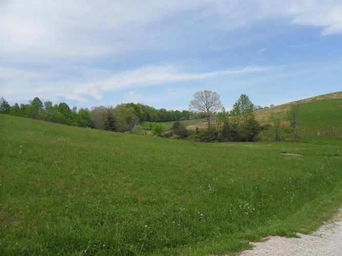 Listing Image 16