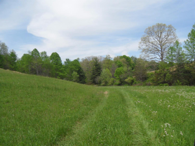 Listing Image 21