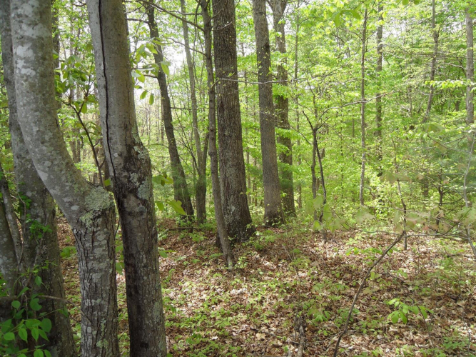 Listing Image 25