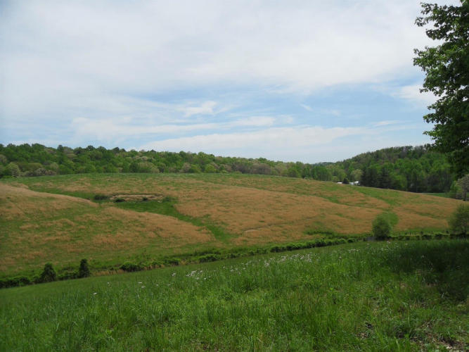 Listing Image 26