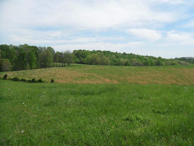 Listing Image 27