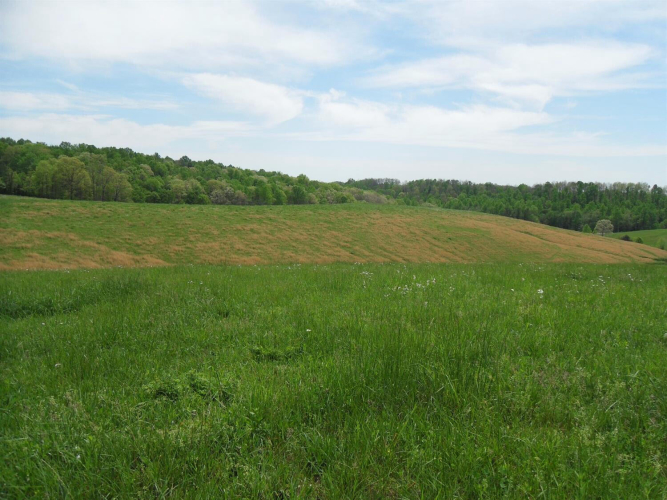 Listing Image 28