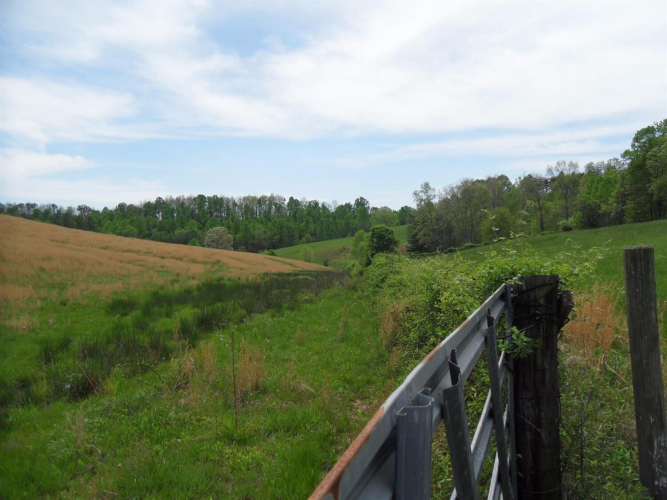 Listing Image 29