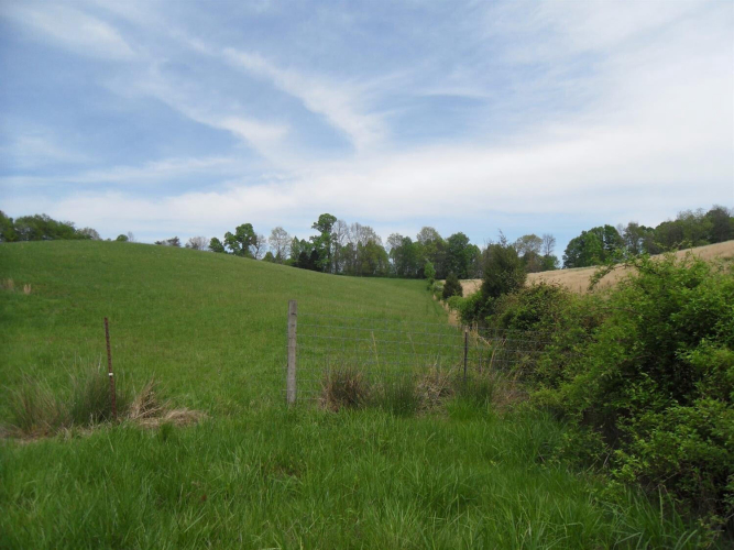 Listing Image 30