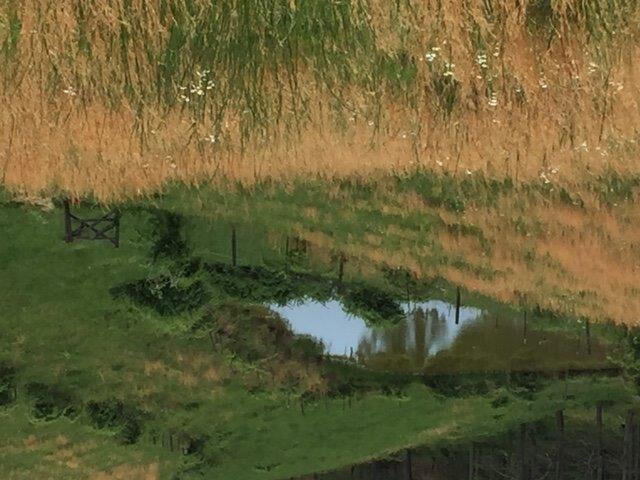 Listing Image 36