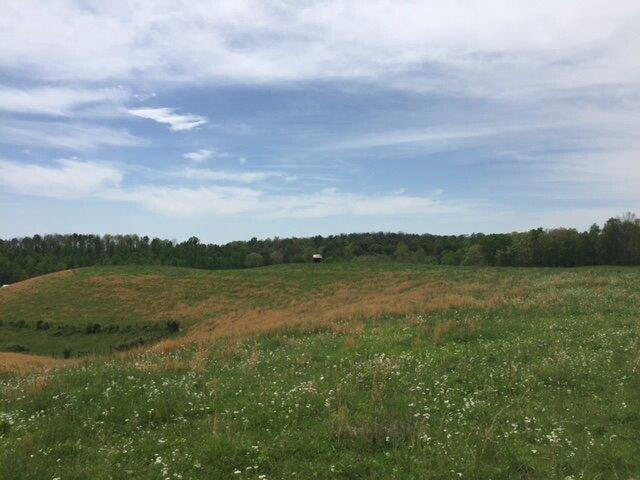 Listing Image 38