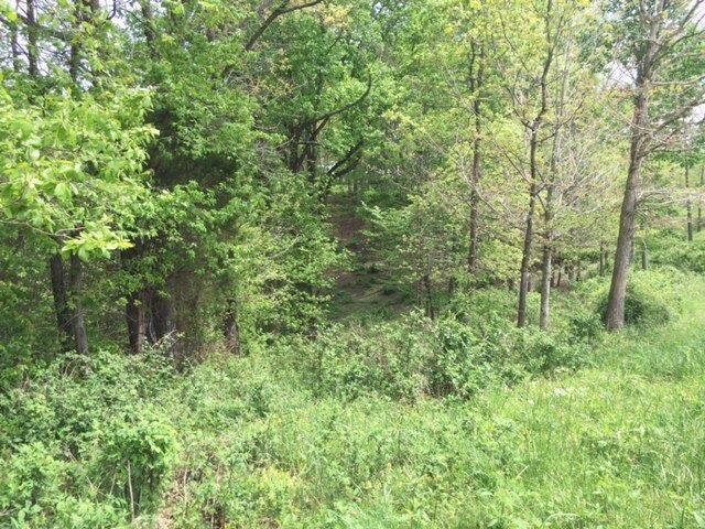 Listing Image 42