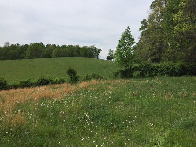 Listing Image 43