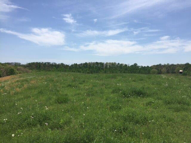 Listing Image 45