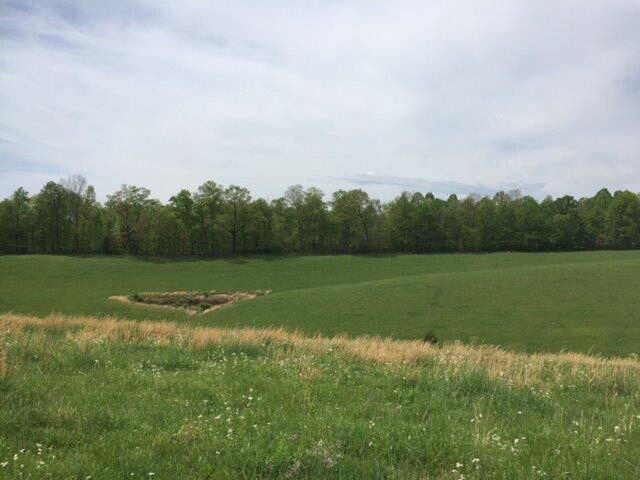 Listing Image 46