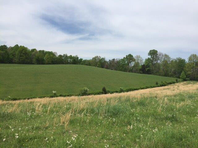 Listing Image 47