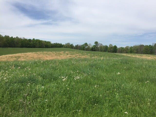 Listing Image 50