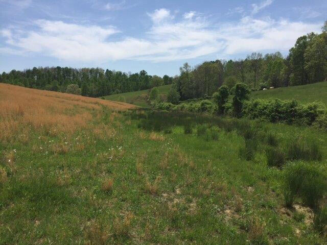 Listing Image 53